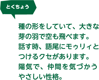 とくちょう。種の形をしていて、大きな芽の羽で空も飛べます。話す時、語尾にモゥリィとつけるクセがあります。陽気で、仲間を気づかうやさしい性格。